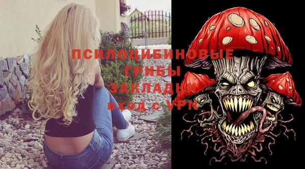 прущие грибы Алексин