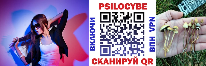 Псилоцибиновые грибы ЛСД  Судогда 